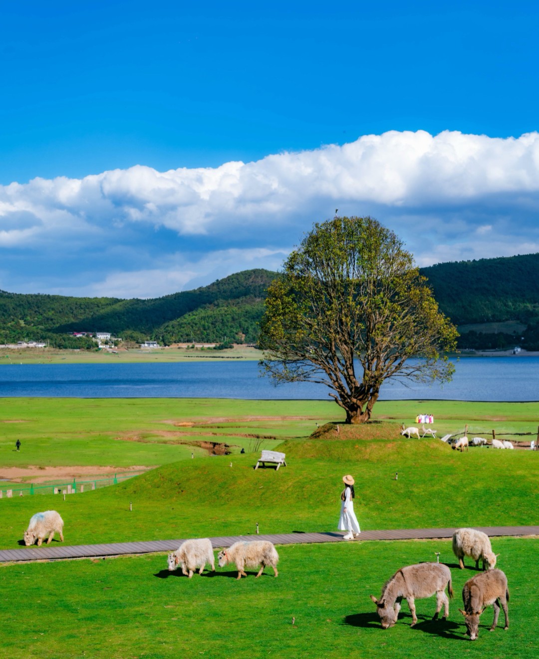 1775544697493123.jpg 9d6f0e8c130f396e7ceb544925edb89.jpg