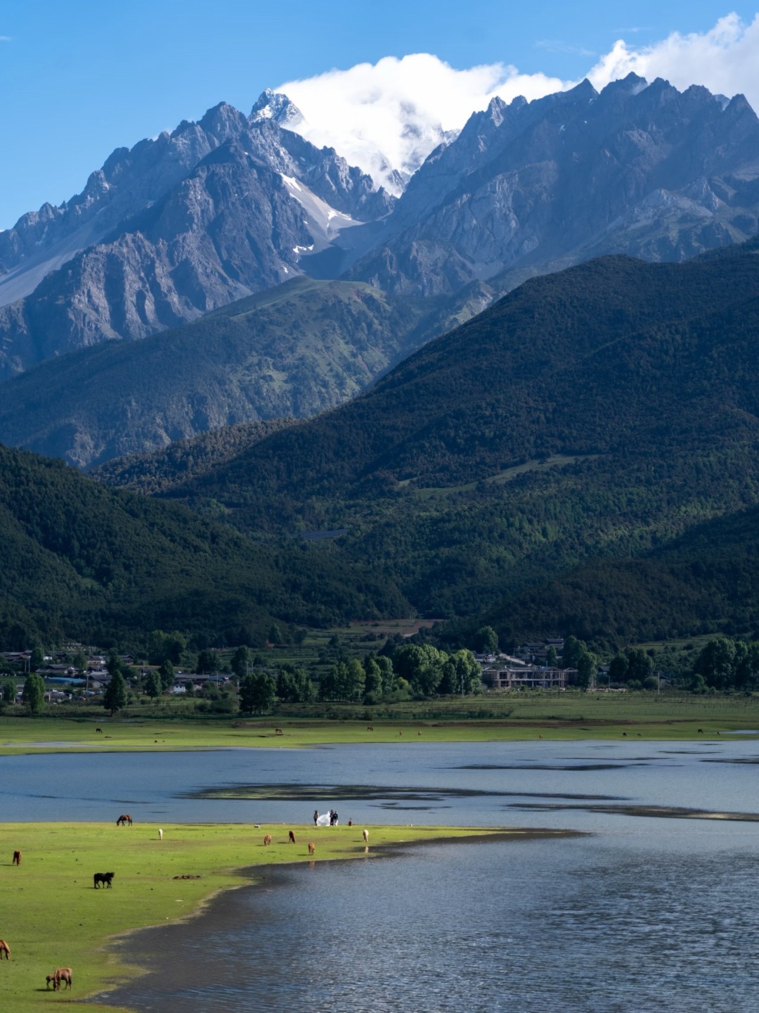 1775544716836434.jpg a579def66e2fb1de3caa33efa0d5474.jpg