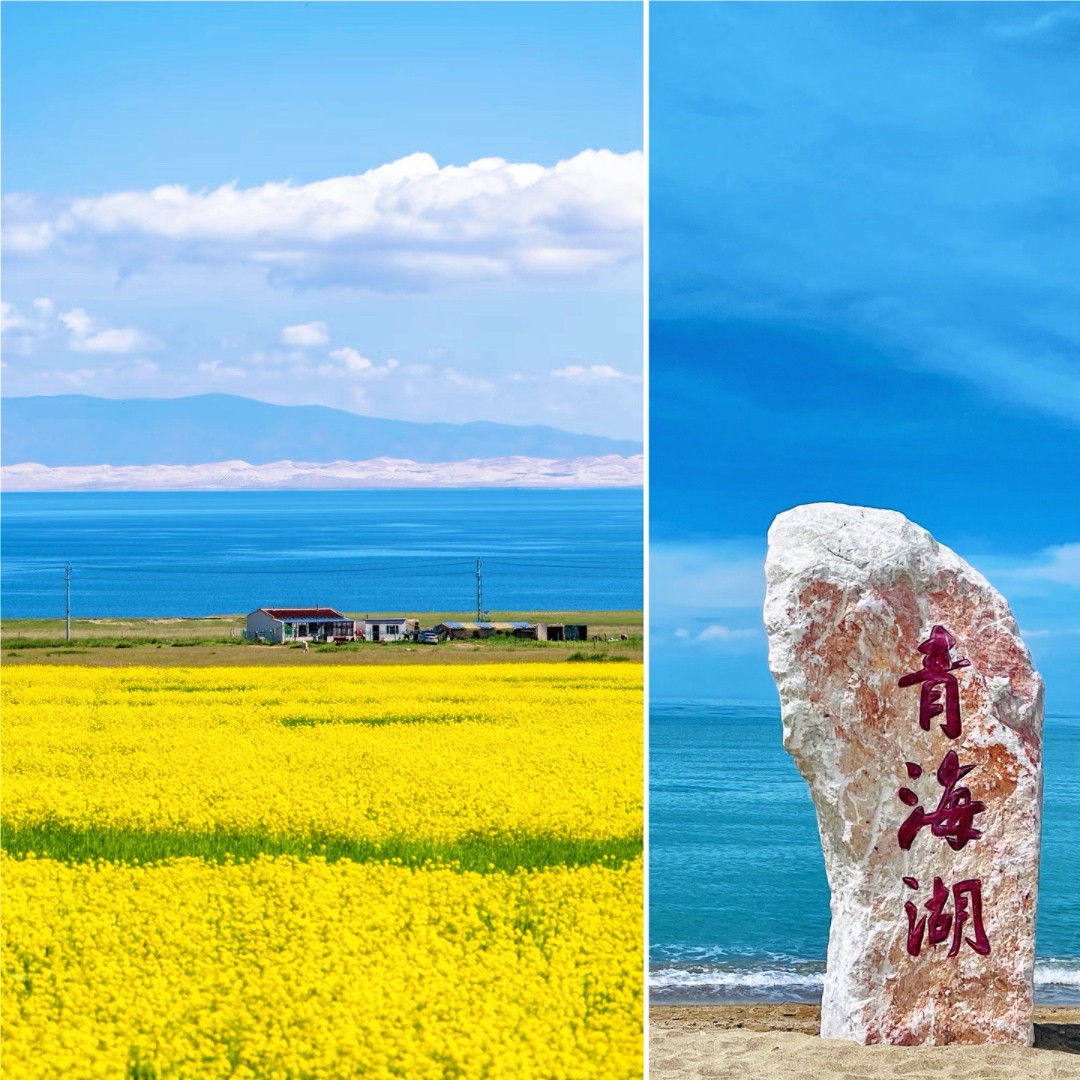 1775703423362105.jpg 7e0313876d4bff6d4fc12e8694a6a2a.jpg