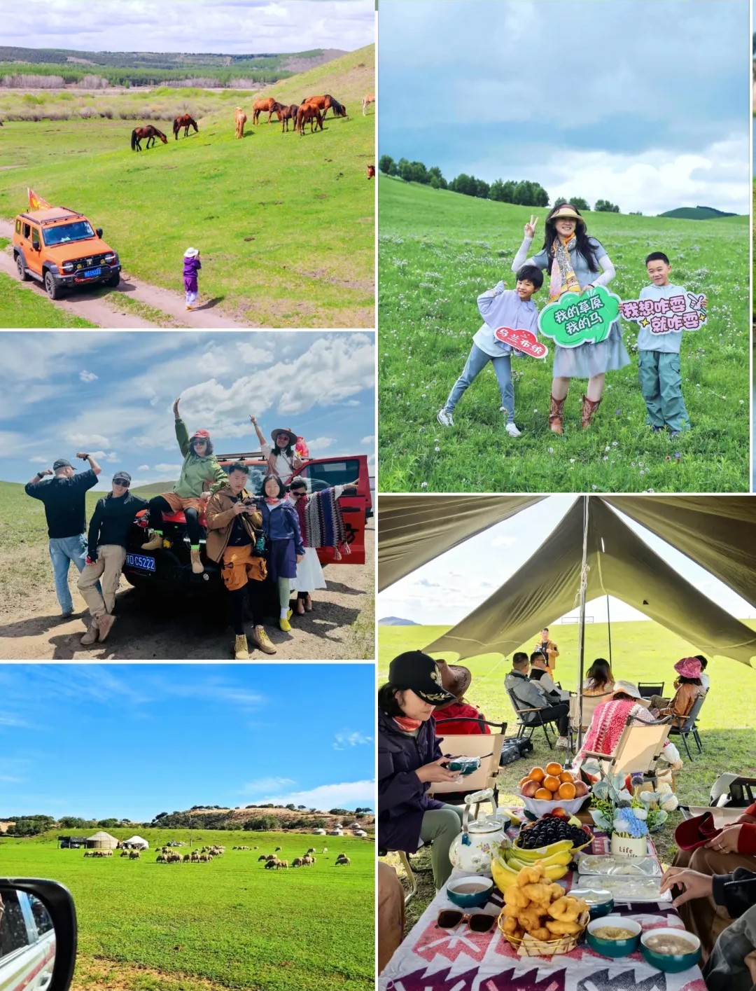 1776160158676123.jpg 234345233.jpg