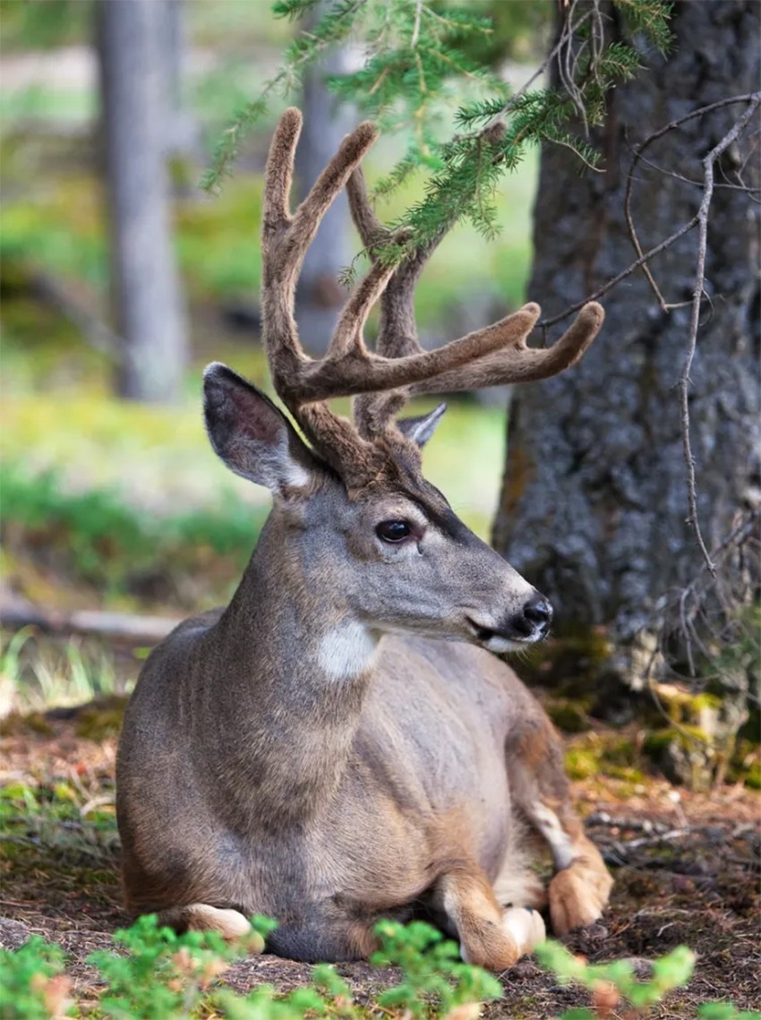 1776178720359042.jpg 23222.jpg