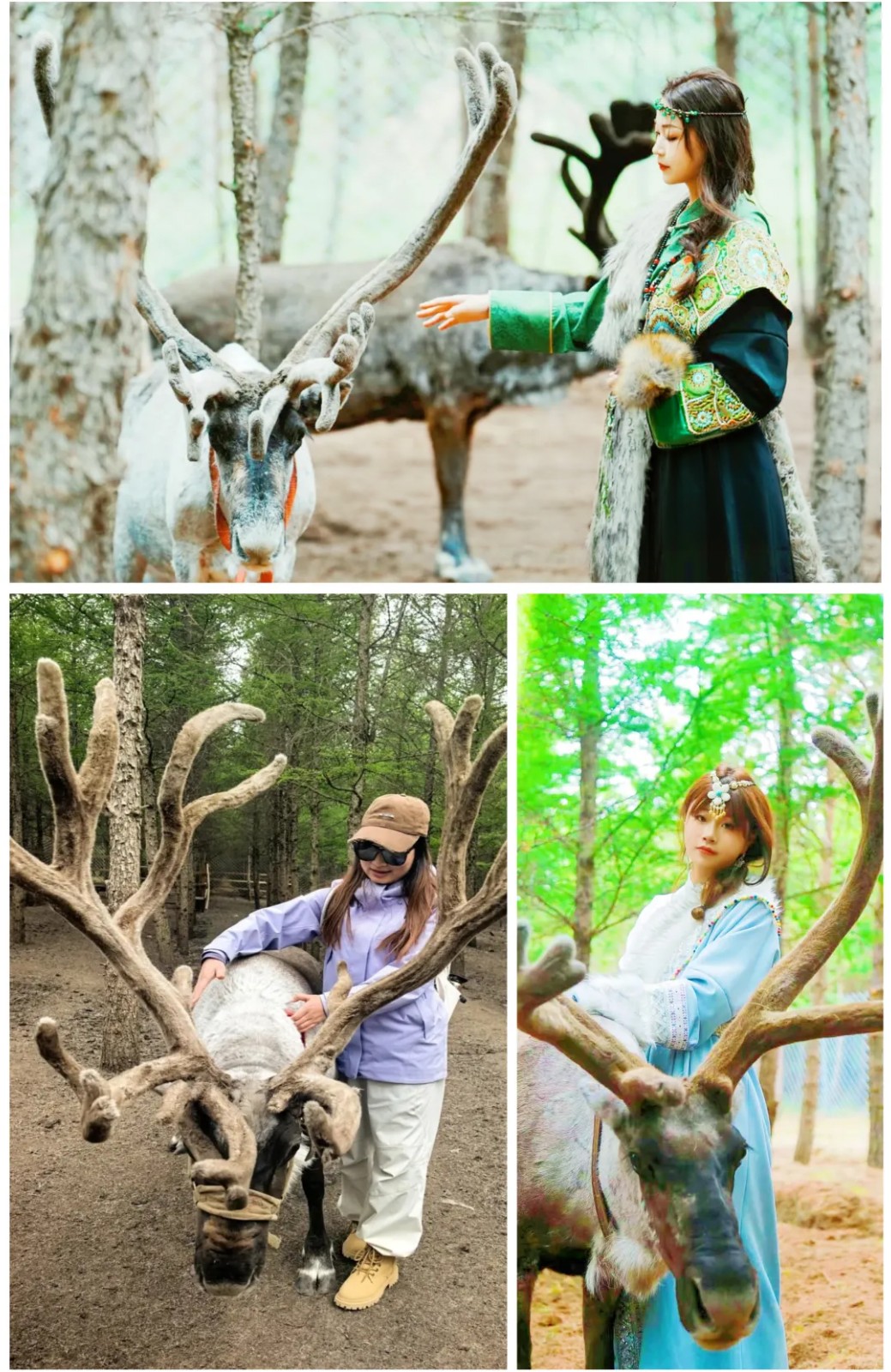 1776178960816591.jpg 245445.jpg