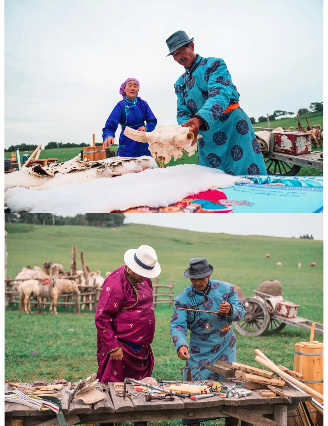 1776222224744985.jpg 32434433.jpg