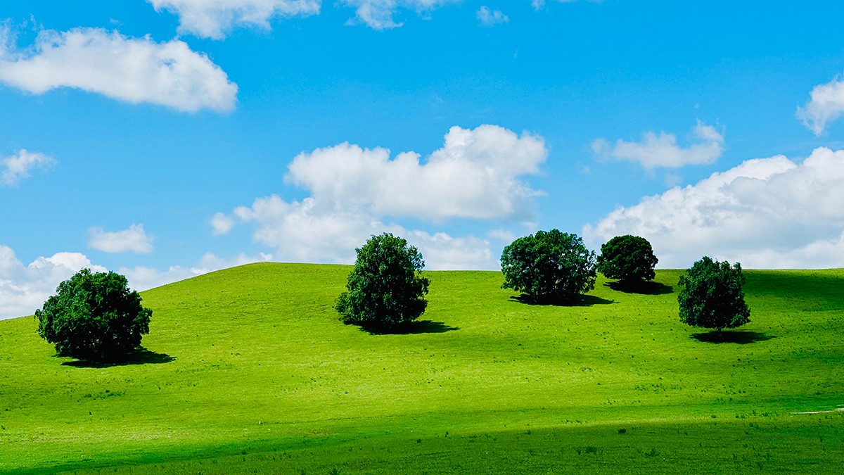 1776247198740891.jpg IMG_9953 拷贝.jpg