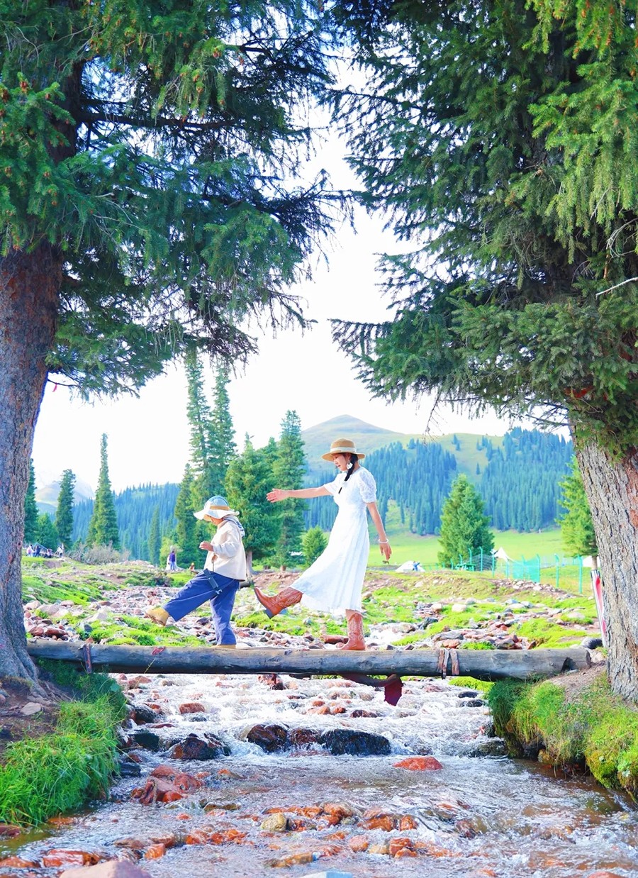 4333222.jpg
