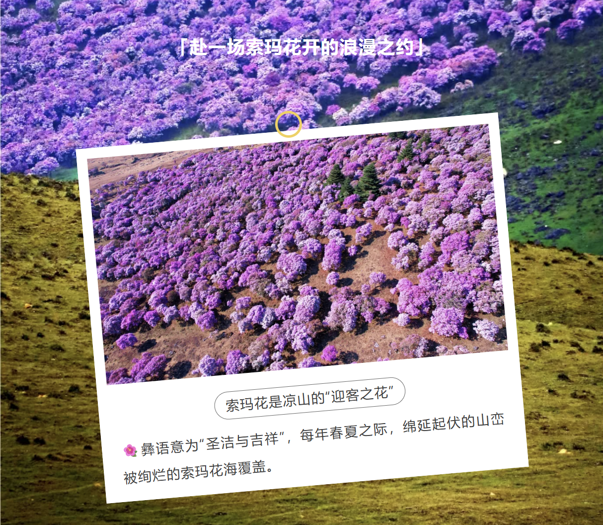 QQ_1778761947939.png