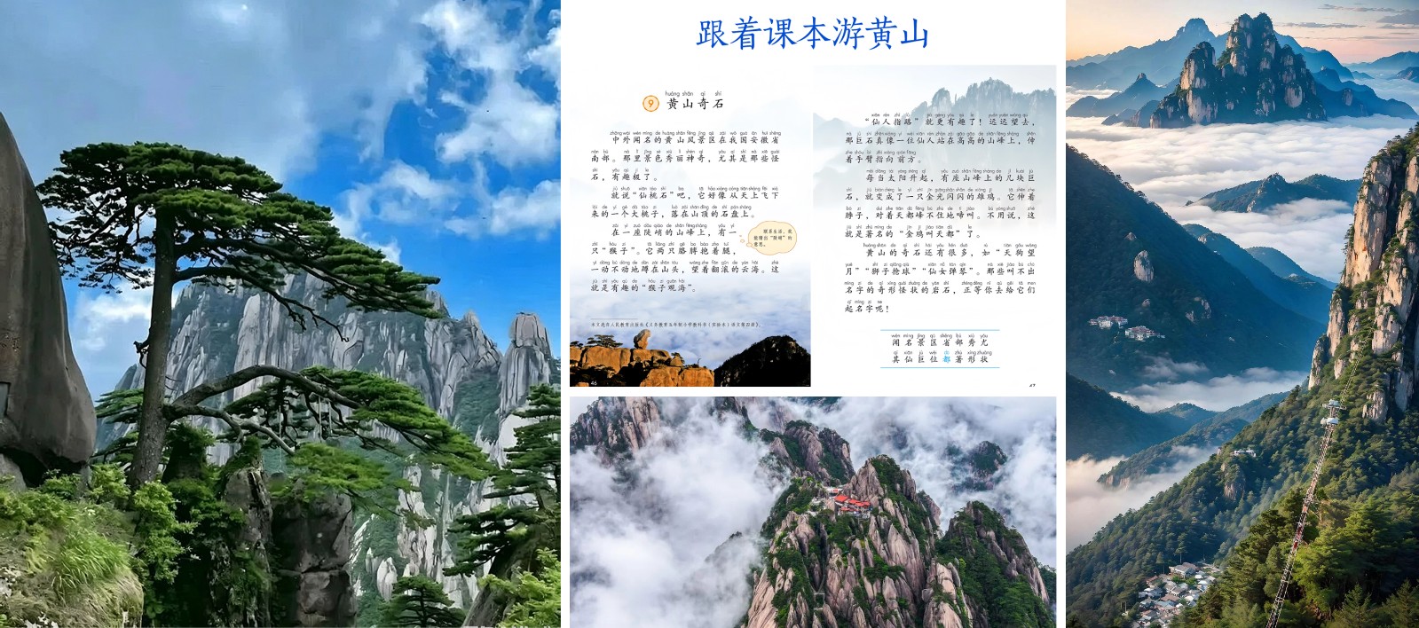 第五天.jpg