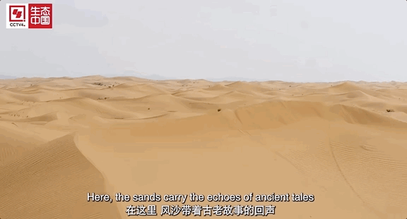 bf2b742702633032f6685822be935c88-sz_1242695.gif