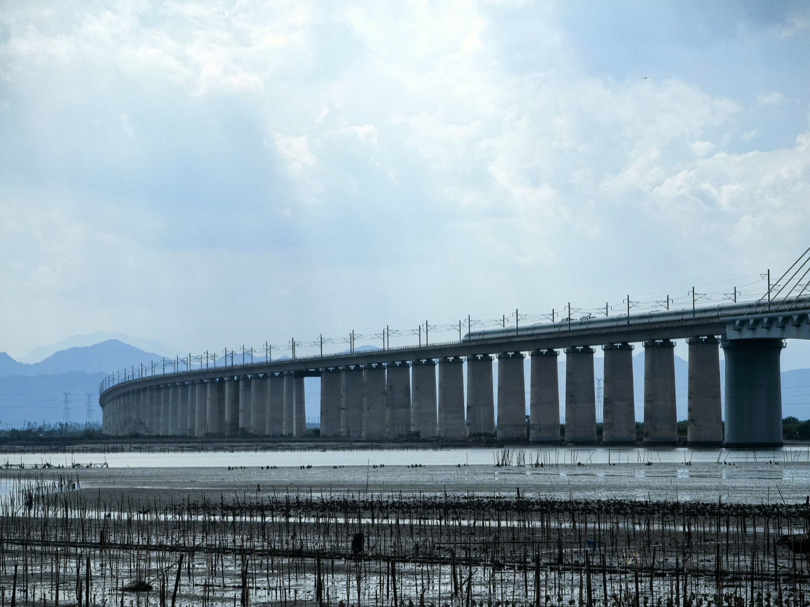 1786724986269380.jpg 晨州岛.jpg