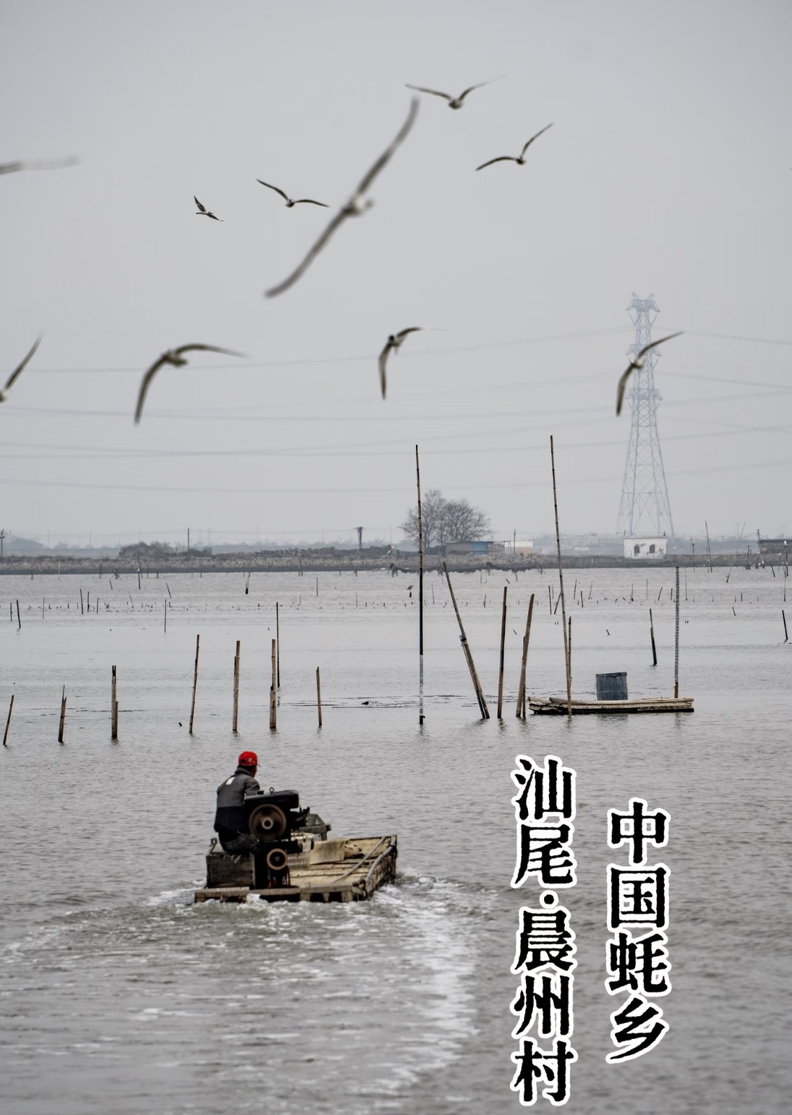 1786936894569088.jpg 微信图片_20260817111608_865_194.jpg