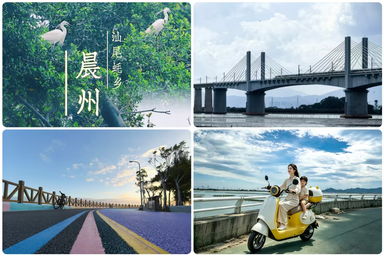 1786938466801872.jpg 微信图片_20260817114633_868_194.jpg