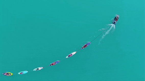 1788505062396507.gif