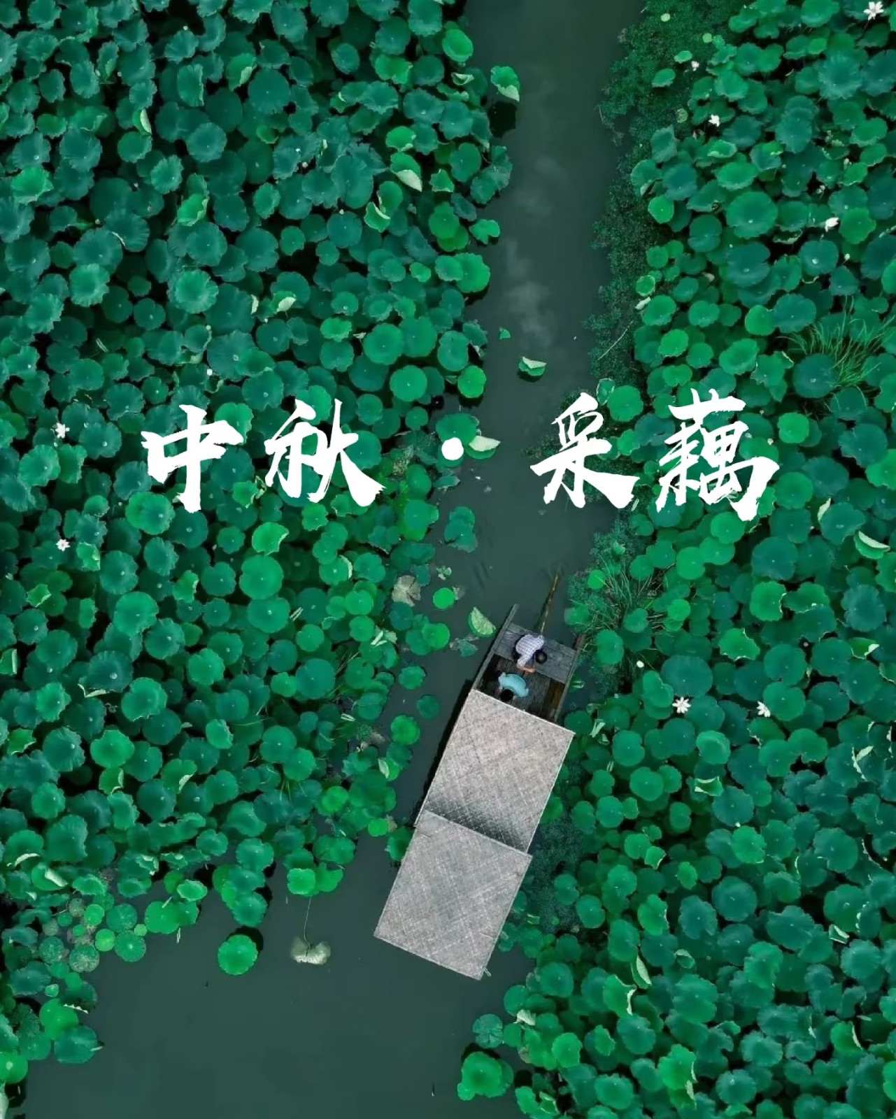 微信图片_20260914164513_973_194.jpg