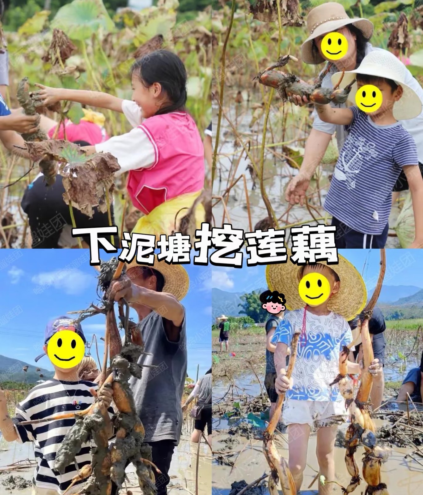 微信图片_20260914164644_974_194.jpg