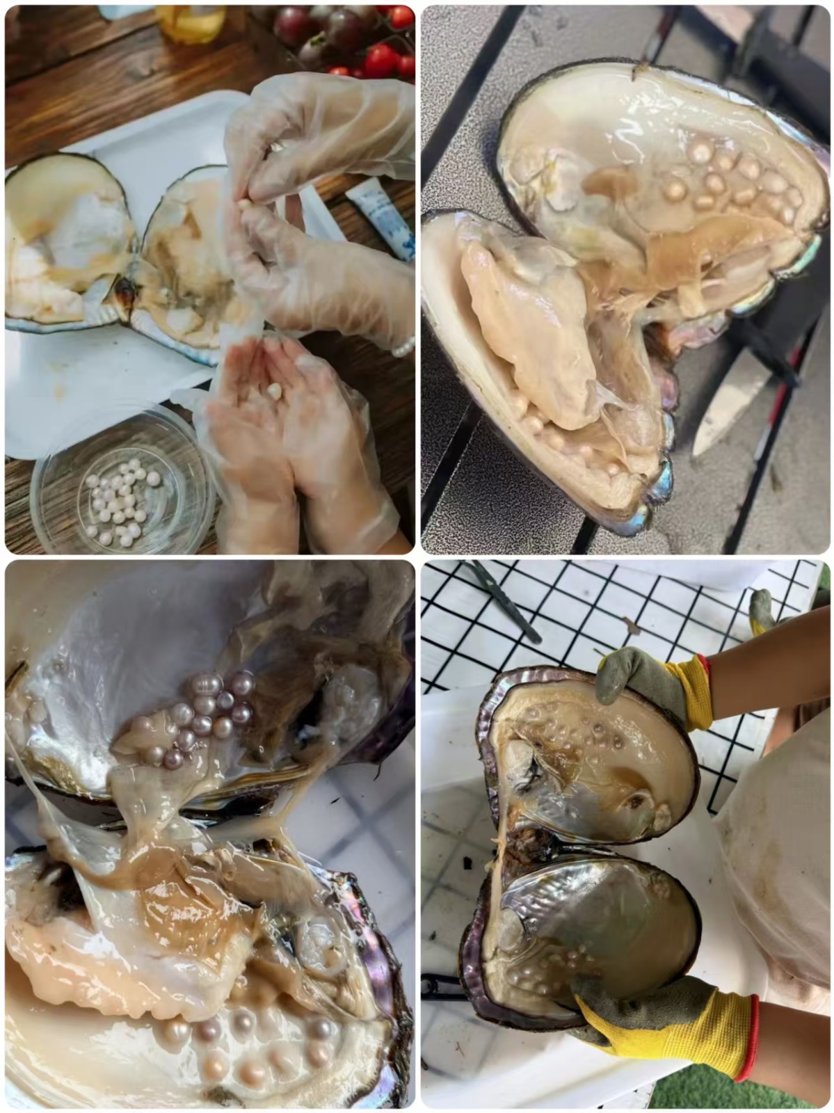微信图片_20261007150559_43_197.jpg