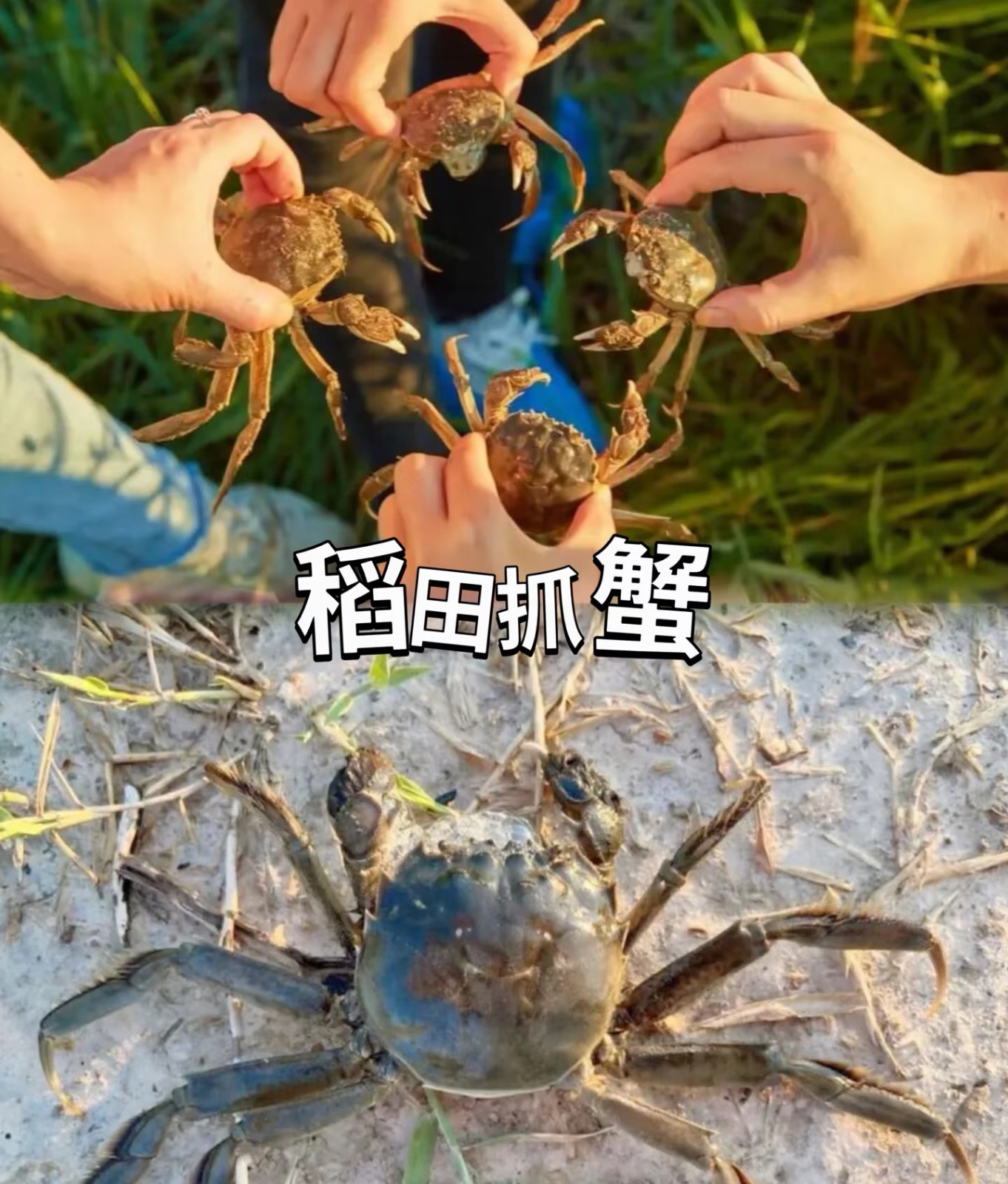 微信图片_20261008003336_1072_194.jpg