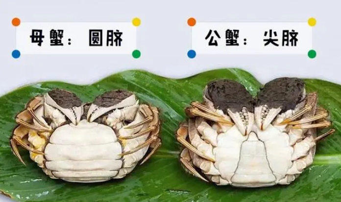 3.png
