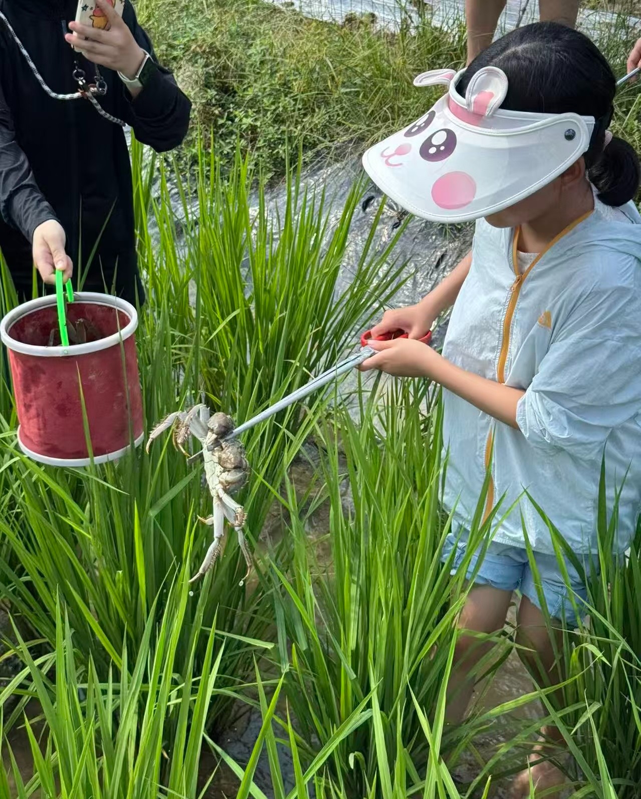 微信图片_20261008004944_1073_194.jpg