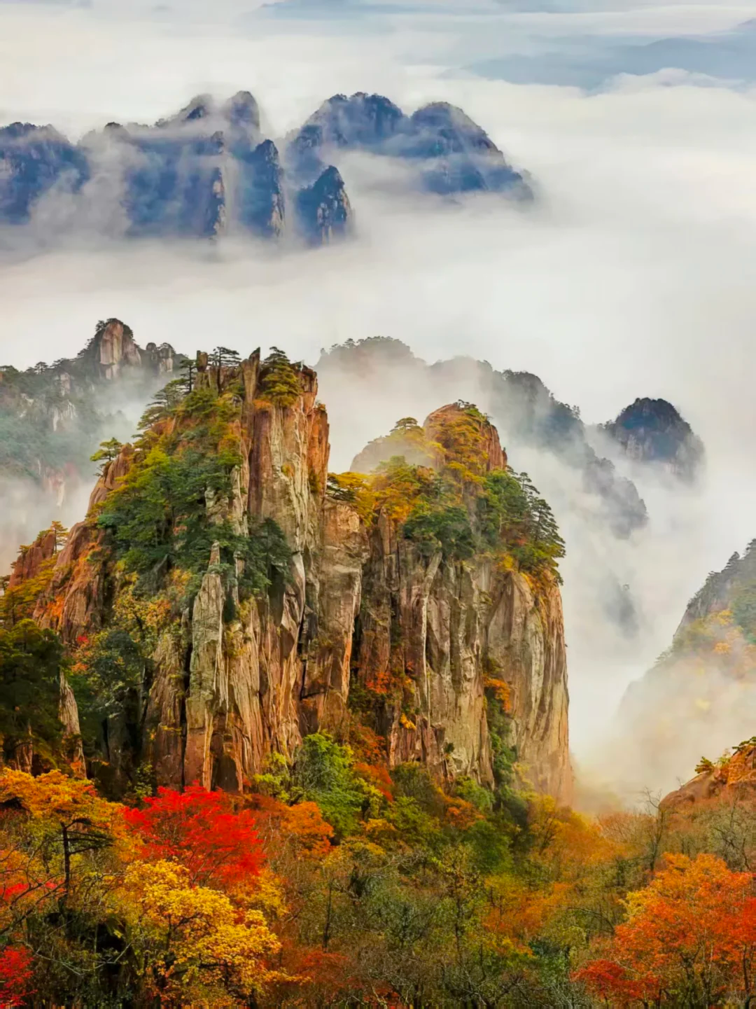 微信图片_20261014103929.png