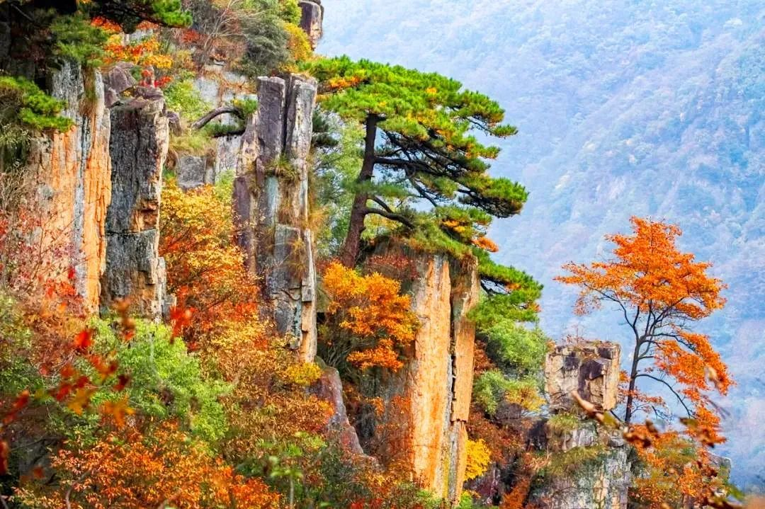 微信图片_20261014105729.png