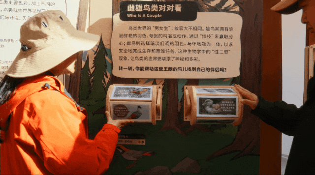 1792045964420469.gif