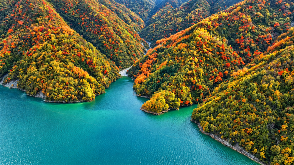 微信图片_2026-10-15_151635_176.png