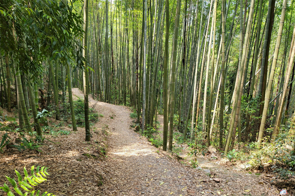 微信图片_2026-10-29_103044_716.png